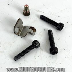 1994 Yamaha XJ600S Diversion Stator Bolts - 4BR