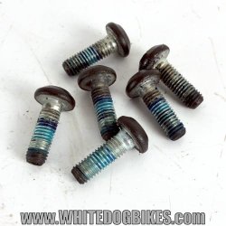 1994 Yamaha XJ600S Diversion Front Brake Disc Bolts - 4BR