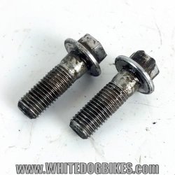 1994 Yamaha XJ600S Diversion Back Brake Caliper Bolts - 4BR