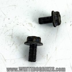 GPZ500 Clock bolts