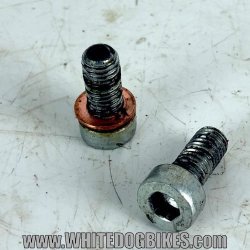 1999 Kawasaki GPZ500 D6 Fork Drain Bolts - 99 EX500 Front Fork Bolt