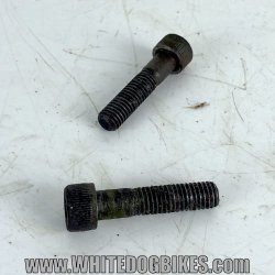 GPZ500 spindle pinch bolts