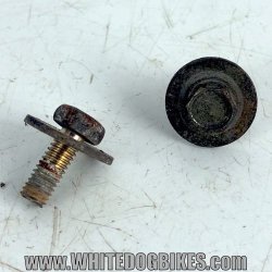 ER5 coolant res bolts