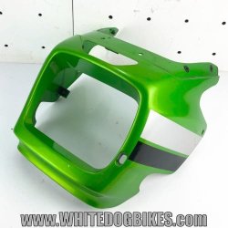 ZXR1200 bikini fairing in green