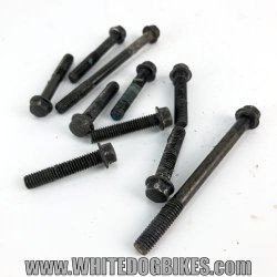 XJ600 Diversion engine case bolts